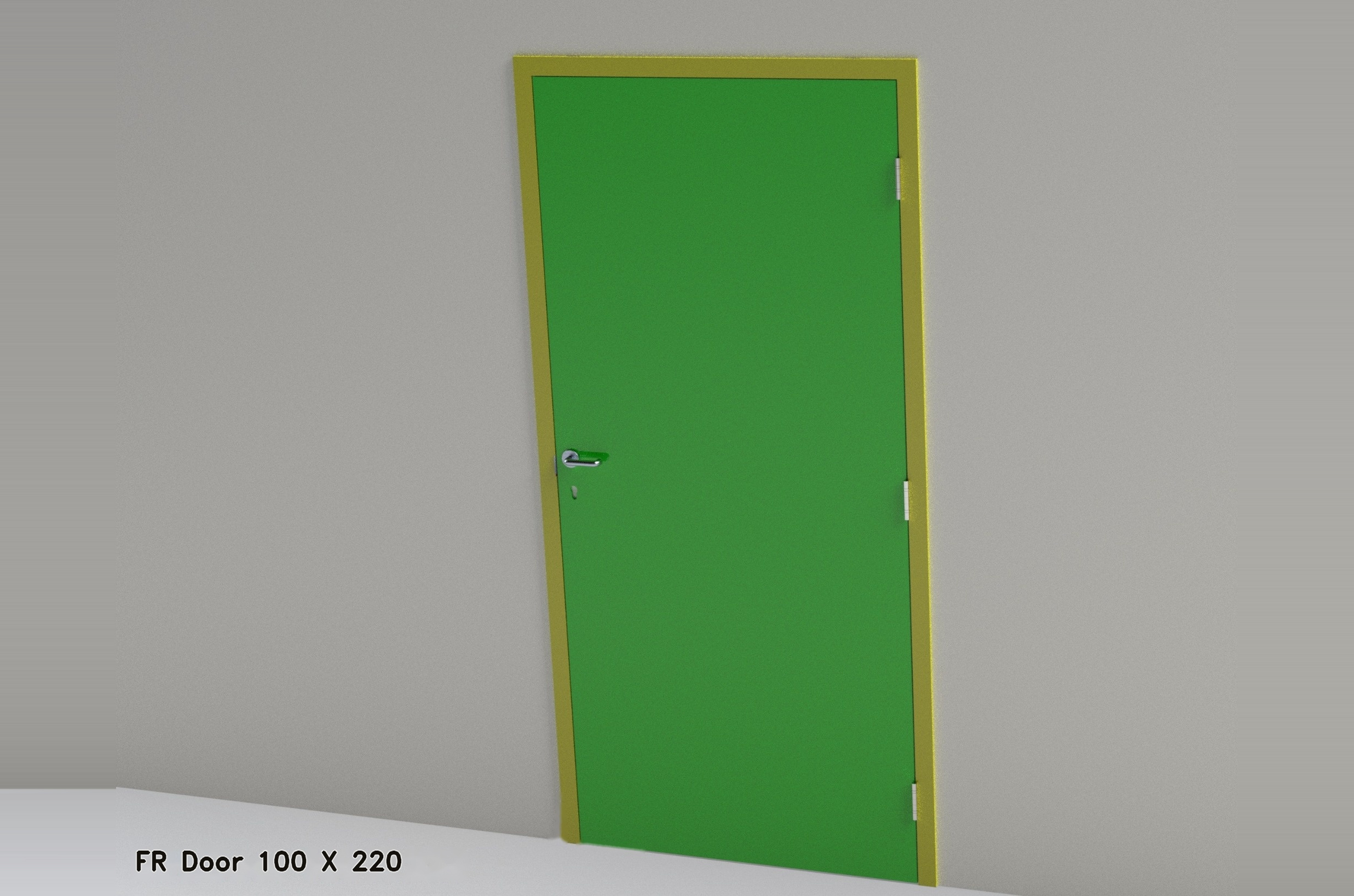 FR Door 100 × 220
